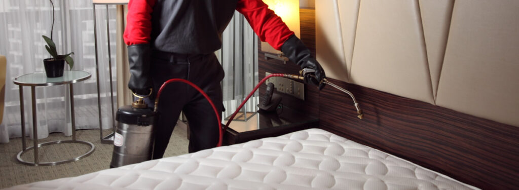 bed bug control services harare